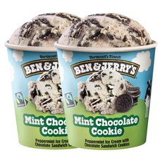 벤앤제리스 민트초콜릿칩쿠키 아이스크림 파인트 473ml, 2개