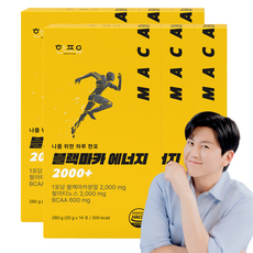 한포유 블랙마카 에너지 2000+, 84개, 20g