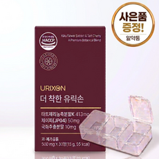 더착한 유릭손 사은품휴대용알약통증정, 1개, 30정