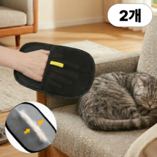 리빙빈 강아지 고양이 정전기 털제거 장갑, 2개, 블랙