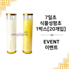 7일초-식물성팜초/식물성초(1박스20개)이벤트 식물성 초 기도초 불교용품 무속용품, 아이보리1일초1박스(100개입), 1개