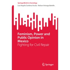 (영문도서)Feminism Power and Public Opinion in Mexico: Fighting for Civil Repair Paperback, Springer, English, 9783032141408