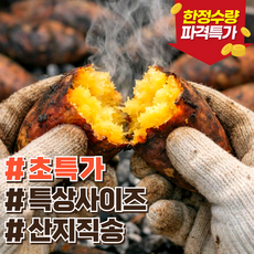 [초특가]청춘농가 고당도 햇 해남 호박 고구마, 1개, 2kg (특상)