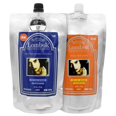 가인 엘비 렌티스 트리트먼트 5분 스피드 염색약, 내츄럴브라운, 1개