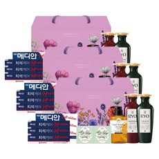 아모레퍼시픽 선물세트 다온 1호 x3 설날추석선물세트, 단품