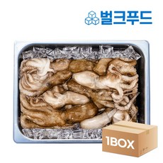 냉동낙지 활낙지 5.1kg 8미 벌크 볶음용 연포탕, 단품