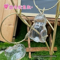 貓毛收集瓶 貓毛收集 貓咪瓶子 貓咪紀念瓶 玻璃貓咪收納 貓毛 玻璃, 1個