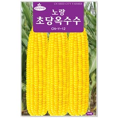 노랑초당옥수수 100립, 1개