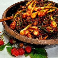 전라도 꽃 김치 전라도맛있는김치 전라도김치 수제김치 수제 파김치, 2kg, 1개