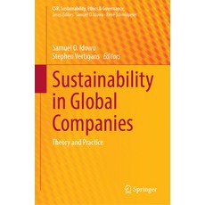 (영문도서) Sustainability in Global Companies: Theory and Practice Hardcover, Springer, English, 9783031779701