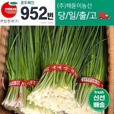 해돋이농산 깐쪽파 1단 2단 3단 5단 10단(상세페이지참고), 1단(1kg내외), 1개