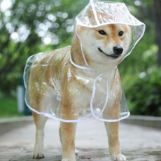 강아지 레인코트 방수 투명 산책 반려동물 우비 장마 의류
