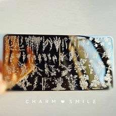 네일 템플릿 만화 캐릭터 스탬핑 플레이트 프렌치 라인 기하학 꽃 잎 동물 이미지 스테인레스 스틸 아트 스텐실, 옵션59) CJT-107, 1개