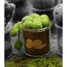 手工好物 圈圈木多肉植物羊毛氈搓搓樂材料包迷你小盆栽綠植DIY手工新手, 小圓球多肉（送工具花盆）, 1個