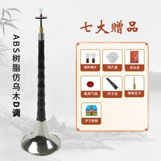 嗩吶 ABS樹脂 仿烏木 D調 新手 專業 抗摔 防裂, 1個, 高硬度樹脂仿烏木,鍍金碗+全贈品