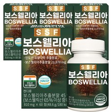 순수식품 보스웰리아 보스웰릭산65% 8개월분(240정), 60정, 4개