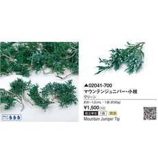 日本大地農園不凋諾貝松雪松藍柏石松羅漢柏聖誕節裝飾永生花乾燥花，持久 сохраняет 美麗，營造溫馨浪漫氣氛, 02041-700袋裝石松, 藍色