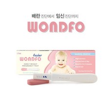 원포 패스터 임신테스트기 1개입 x 1개 159588