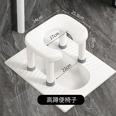 老人坐便椅 孕婦家用坐便器 折疊馬桶椅 簡易坐便凳, 1個, 高26釐米,白色