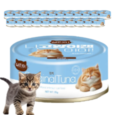 살찐이 나 고양이 캔이야, 24개, 85g, 참치