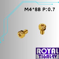 ROYAL 鈦合金錐形螺絲 M4*8B P:0.7 土豪金, 1個