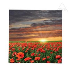 에스웍 보석십자수 빛나는 양귀비들판 30x30 비즈십자수
