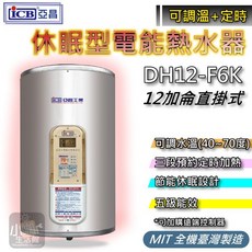 ICB 亞昌 DH12-V6K 12加侖 定時可調溫休眠型電熱水器, 12加侖 / 直掛式