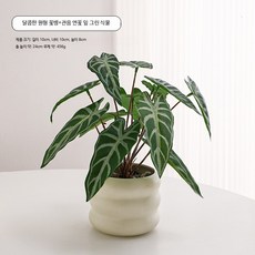 미니 인조 화분 세트 다용도 데스크 가성비 책장 인테리어 식물 촬영 소품, 1개, 6_관음연잎 그린식물 모조