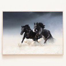 질주하는 흑마 말 사진 재물운 성공운 출세운 올려주는 풍수 포스터 액자, 00. 포스터만(액자없음)