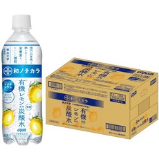 다이도 일본식 노티칼라 유기 레몬 사용 탄산수 500ml × 24개