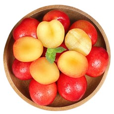 경북 가을 추희자두 출시 왕자두 고당도 달콤새콤 산지직송 과일선물, 1개, 도담/추희자두 중과 1kg (90g이상)