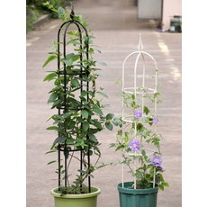 넝쿨지지대 넝쿨식물 가이드 능소화 장미 지지대, 지름 15 높이 60 화이트, 중간