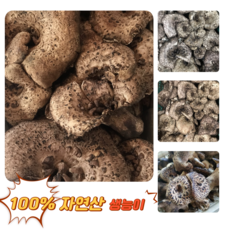 [굿피플] 25년채취 국내산능이 생능이버섯 국산능이버섯, 1개, 냉동 능이버섯 1kg