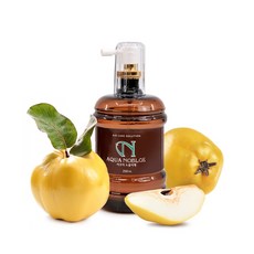 kimspp 아쿠아 노블리제 액상방향제 향기가 오래가는 청향제 탈취제 화장실방향제, 모과, 1개, 250ml