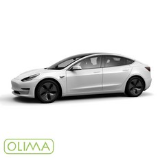 OLIMA 補漆筆 適用於 Tesla 特斯拉 Model 3 S X Y, 1個, 珍珠白 PPSW