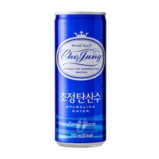 초정탄산수(CAN) 250ml x 90개