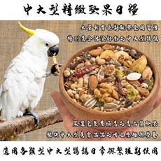 YOYO PARROT 悠悠龍貓 中大型鸚鵡堅果日糧 多種堅果 營養均衡 亮麗羽毛, 900g, 1個