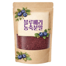 blueberry 블루베리농축분말 미국산 블루베리, 1개, 300g