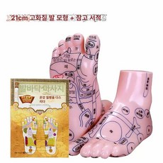 한의원 발 15cm 리플렉솔로지 모형 혈자리 실습 경혈위치 20cm 제품 마네킹 훈련, 9.21CM 발 모형+마사지 참고서