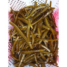 기장 물미역 생미역 산모 물미역 종류, 생미역줄기1kg, 1개