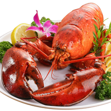 [특대 800g~1kg] 자이언트랍스터 자숙랍스터 홈쇼핑랍스터 냉동랍스터 1미당800g~1kg, 1개, 1미 800~1kg