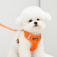 소유담 강아지 하네스 반려동물 가슴줄 세트, 오렌지, 1개