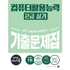 시나공 컴퓨터활용능력 2급 실기 기출문제집 / 2025년