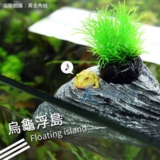 【AC草影】烏龜浮島（L）水龜曬台 魚缸飄浮島 烏龜島 地圖龜 甜甜龜用, 1個