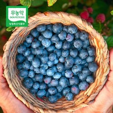 산지드림파머스 국산 친환경 무농약 급냉 블루베리 냉동 국내산 blueberry 불루베리 불루베리 야생, 1개, 1kg, 소상혼합사이즈