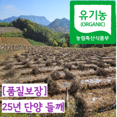 25년 국산 단양 유기농 토종들깨 통들깨 생들깨, 1개, 500g