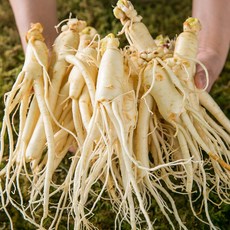 5년근 6년근 국내산 세척 난발삼 200g (5뿌리내외), 1개