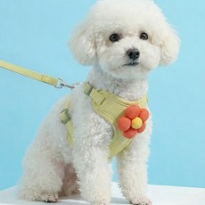 해피펫밀리 데이지 하네스 리드줄 세트, 그린, 1개