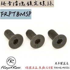 老羊樂器店 德國 Floyd Rose 延音擋塊鎖定螺絲 Original, 1個