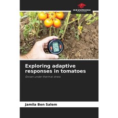 (영문도서)Exploring adaptive responses in tomatoes Paperback, Our Knowledge Publishing, English, 9786209516986